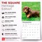 BrownTrout; Dachshund Puppies | 2027 12 x 24 Inch (Hanging) Monthly Square Wall Calendar | Plastic-Free; Category:Wall Calendars; Image:7